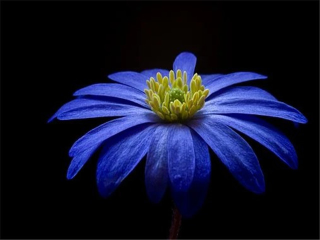 为什么不上班会感觉没安全感 从以下几个方面来分析