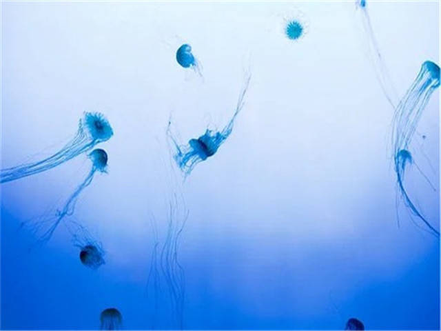 做小三的人能交朋友吗