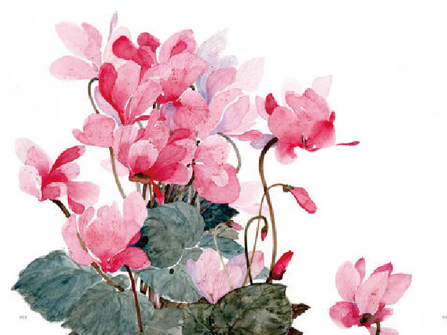 没安全感的男人可靠吗