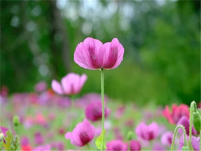 性格很难磨合怎么办