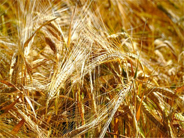 怎么让老婆有安全感