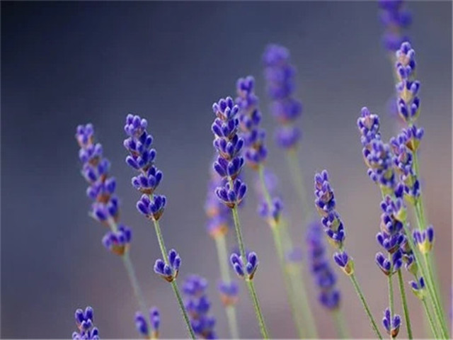 老婆情绪失控就家暴怎么办