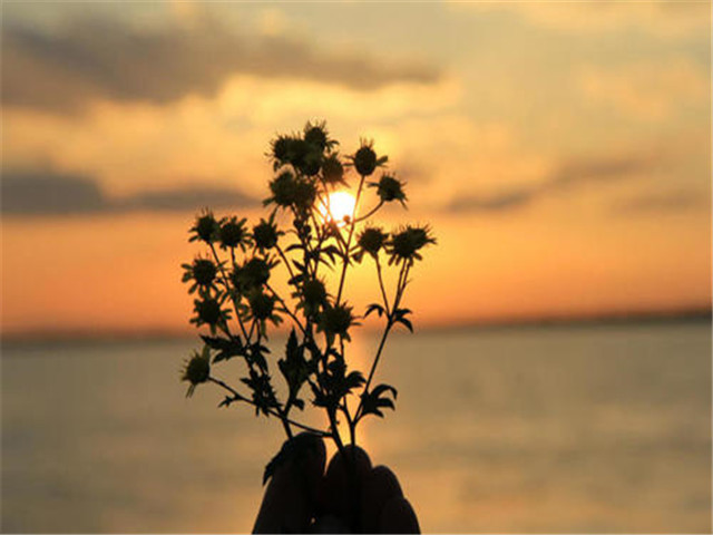 闷骚男会喜欢一个人多久