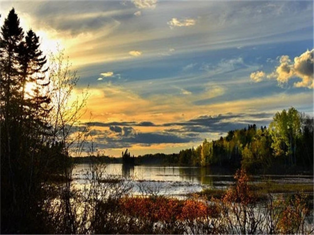 女朋友大姨妈来了买什么给她吃