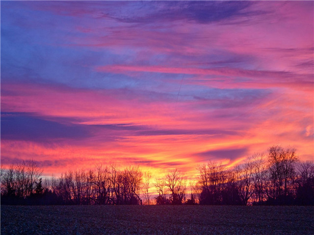 办公室恋情双方都有家庭