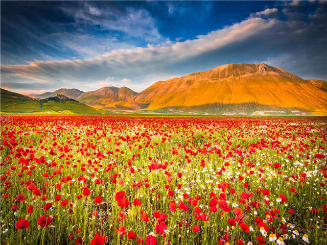 老公对别人有好感是什么表现