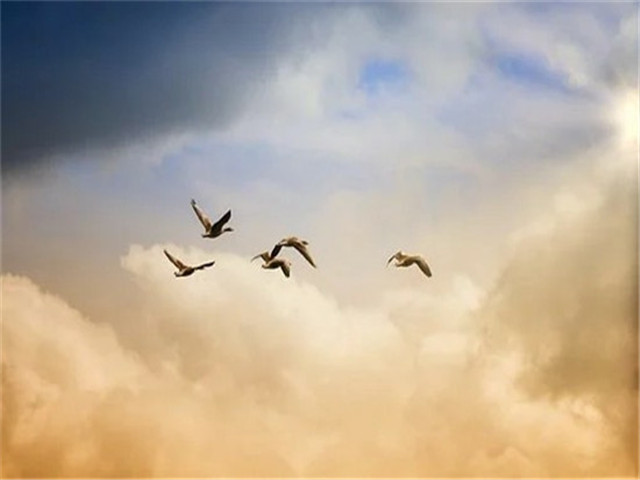 家庭主妇出轨的原因